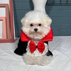 Vampire Pet Costume Halloween Cape for Dogs & Cats π§ββοΈ